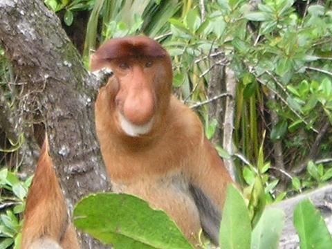 Leute schnell noch positionieren! 147236