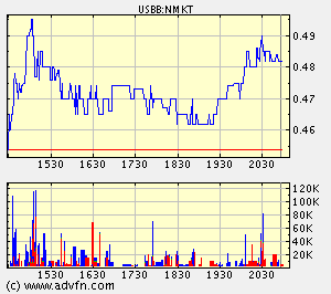 Newmarket Technology INC. (A0B7B0) 39428