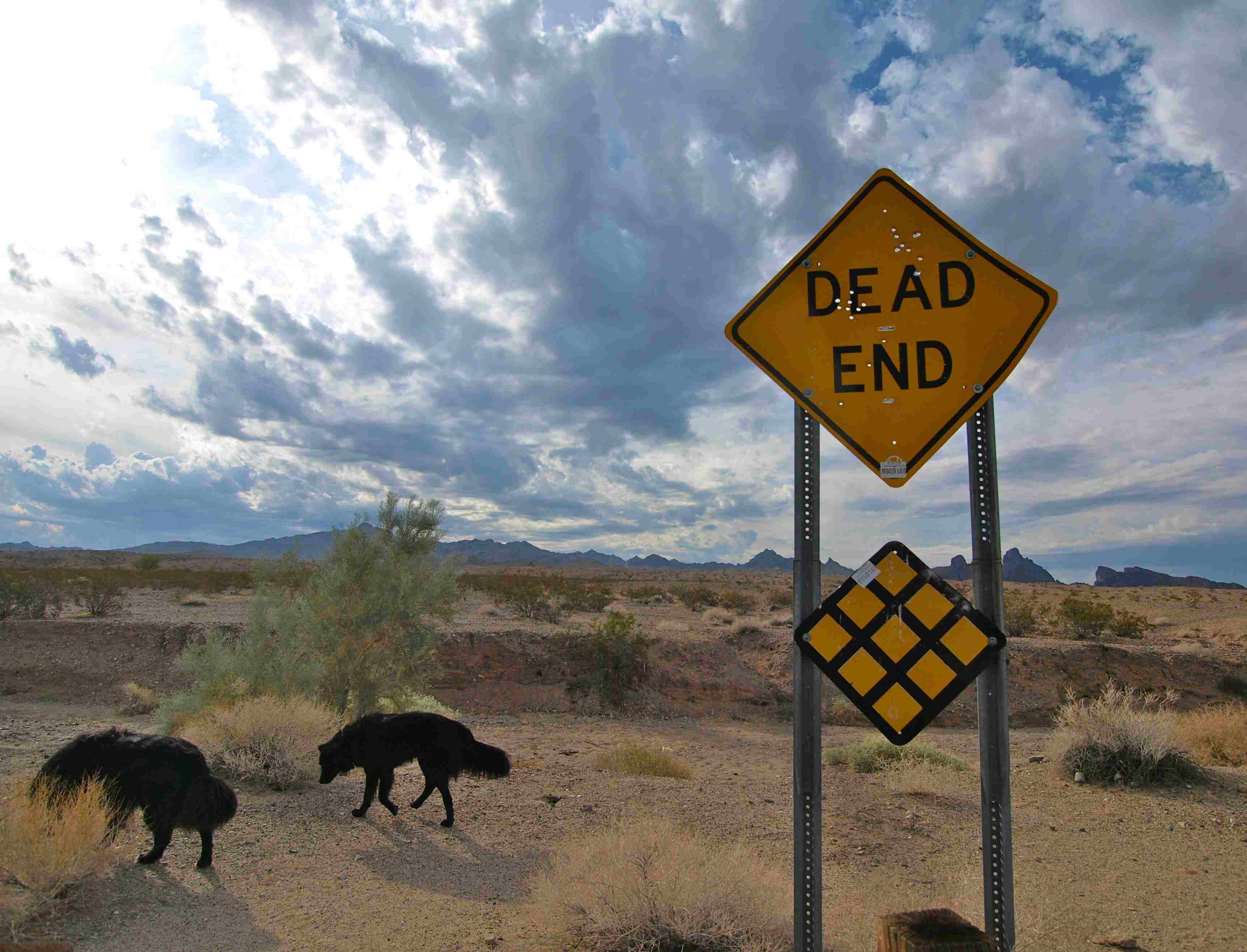 Deutsche Bank - sachlich, fundiert und moderiert 1089314