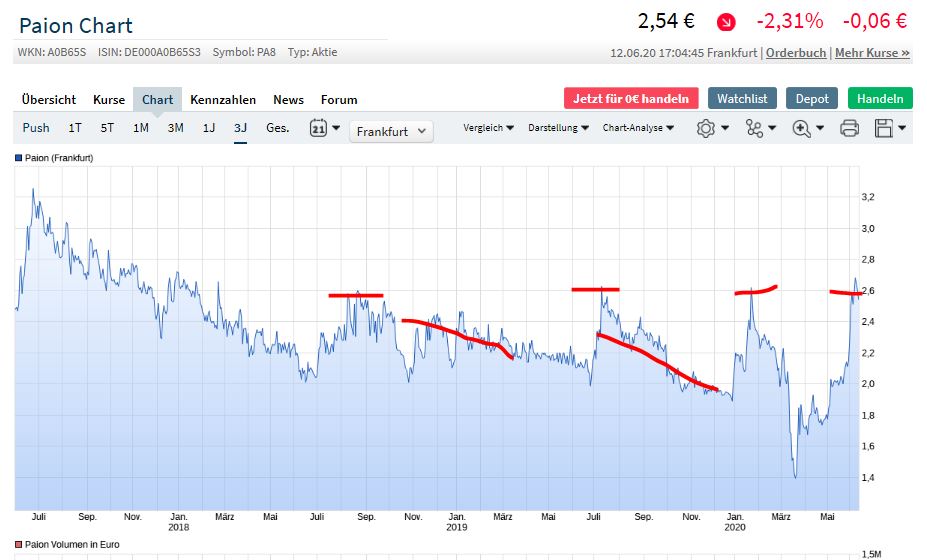 PAION Eine Fledermaus lernt wieder fliegen 1184666