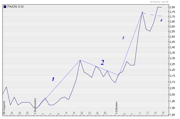 PAION Eine Fledermaus lernt wieder fliegen 352358