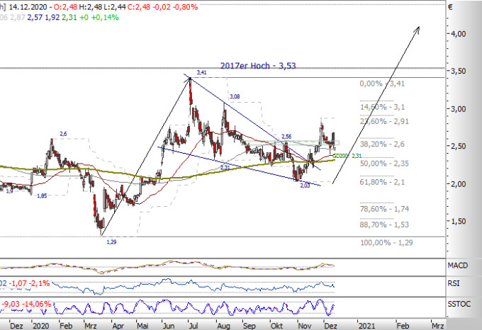 PAION Eine Fledermaus lernt wieder fliegen 1219739