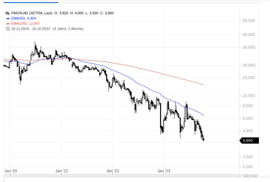 PAION Eine Fledermaus lernt wieder fliegen 1394662