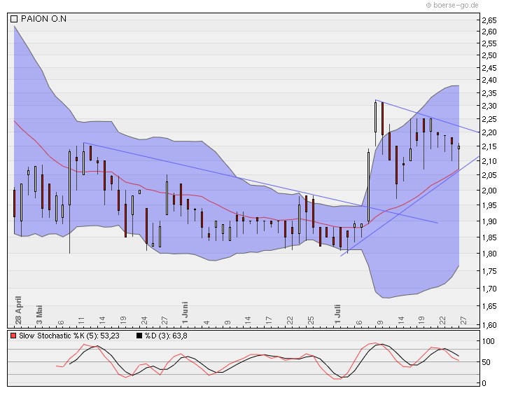 PAION Eine Fledermaus lernt wieder fliegen 334466