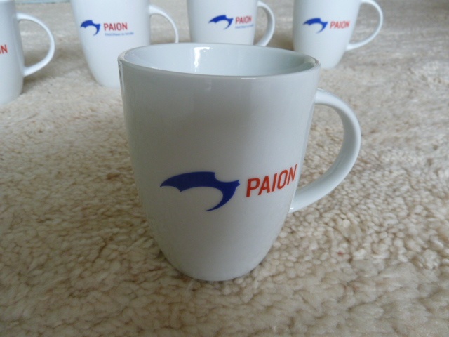 PAION Eine Fledermaus lernt wieder fliegen 411978