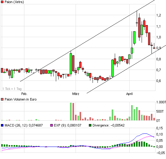 PAION Eine Fledermaus lernt wieder fliegen 502096