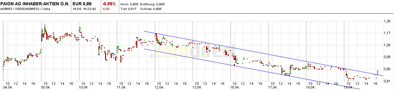 PAION Eine Fledermaus lernt wieder fliegen 502449