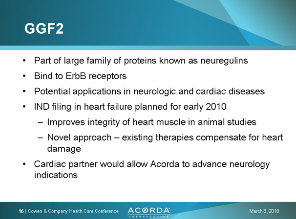 PAION Eine Fledermaus lernt wieder fliegen 308033