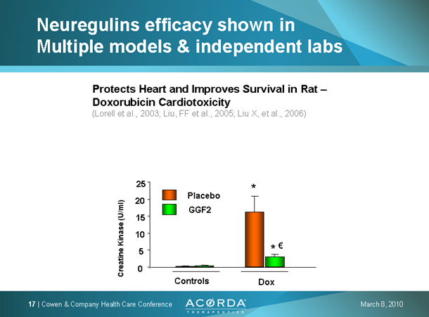 PAION Eine Fledermaus lernt wieder fliegen 308035