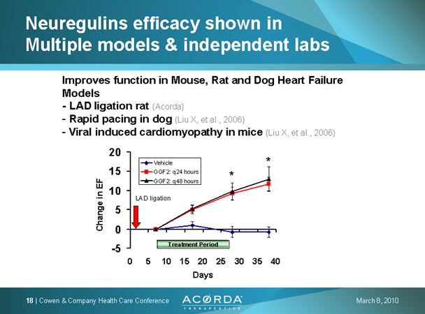 PAION Eine Fledermaus lernt wieder fliegen 308036