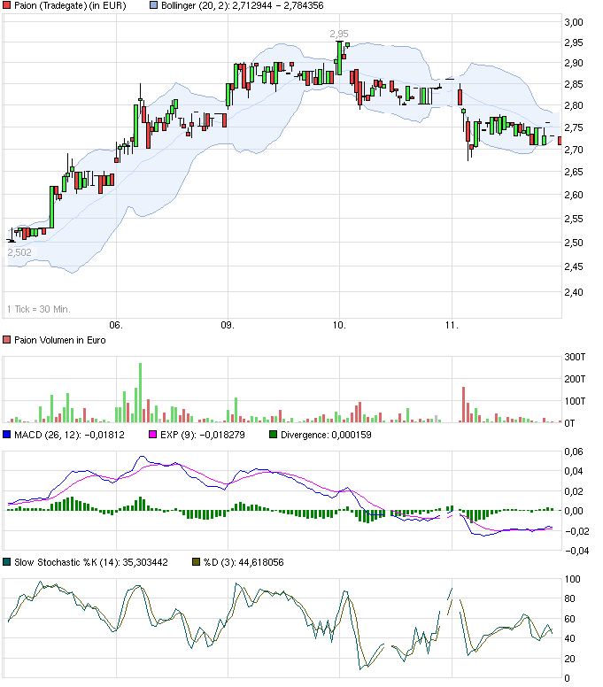 PAION Eine Fledermaus lernt wieder fliegen 673153