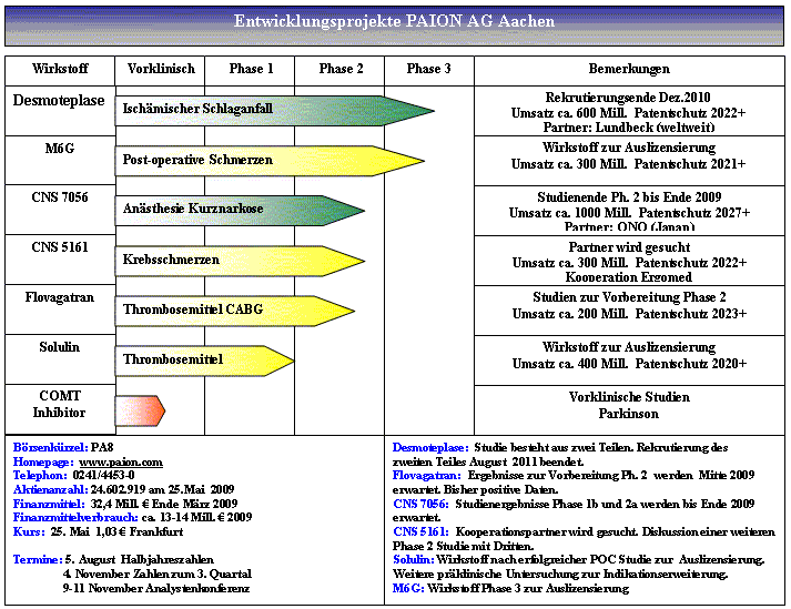 PAION Eine Fledermaus lernt wieder fliegen 239987