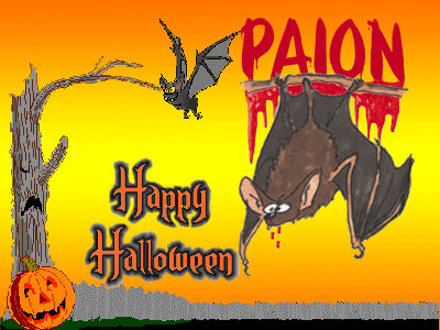 PAION Eine Fledermaus lernt wieder fliegen 659329