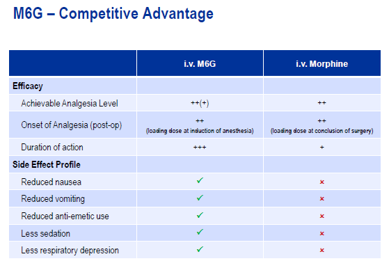 PAION Eine Fledermaus lernt wieder fliegen 277161