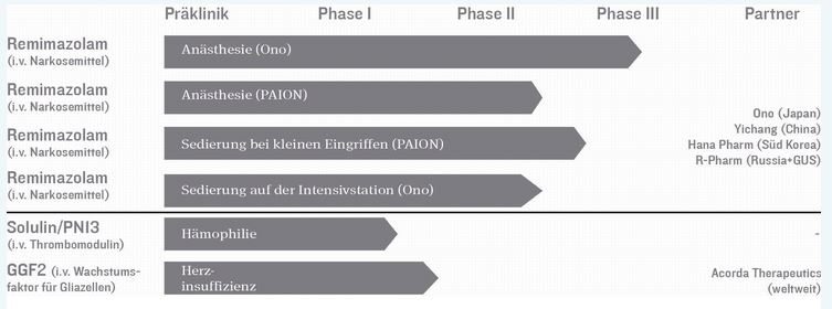 PAION Eine Fledermaus lernt wieder fliegen 703901