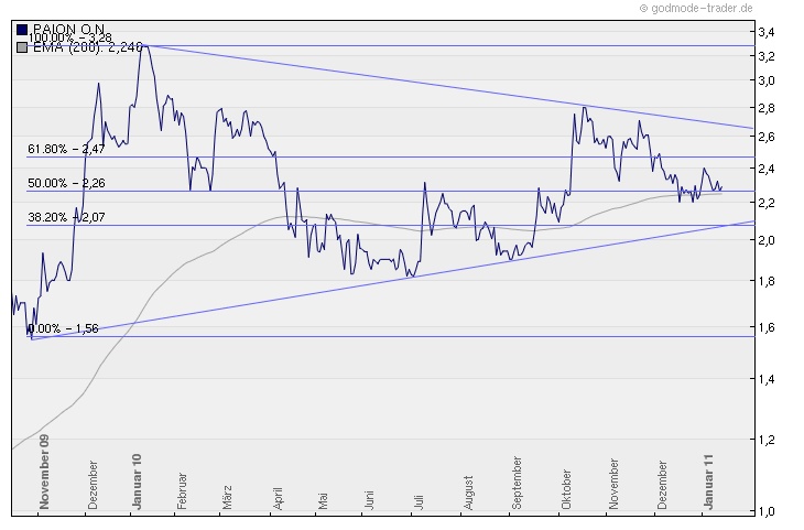 PAION Eine Fledermaus lernt wieder fliegen 373480