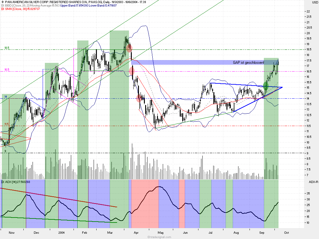 Pan Ameriacan Silver 1724