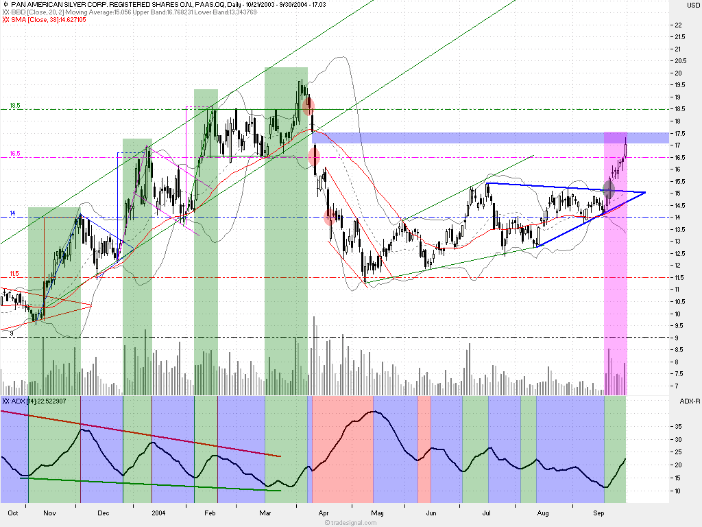 Pan Ameriacan Silver 1604