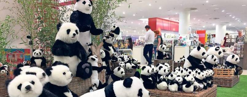 Der USA Bären-Thread 997691