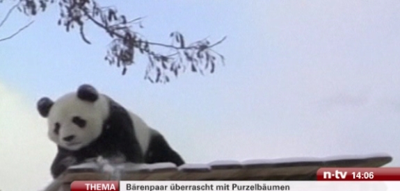 Quo Vadis Dax 2011 - All Time High? 468621