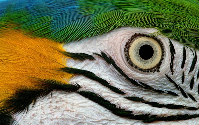 681.DAX Tipp-Spiel, Dienstag, 11.12.07 136051