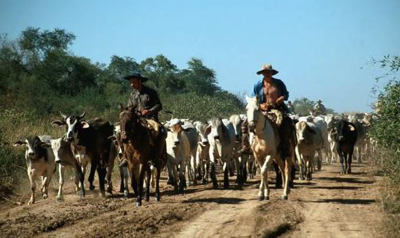 Dax & Co. - deutsche Aktien ins Depot! 753675