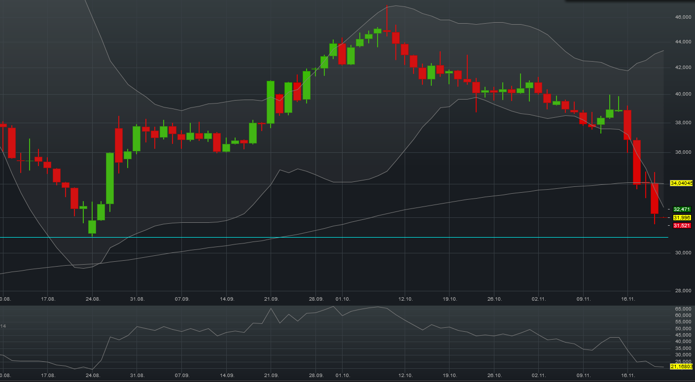 Parrot kurz vor dem Ausbruch 873176