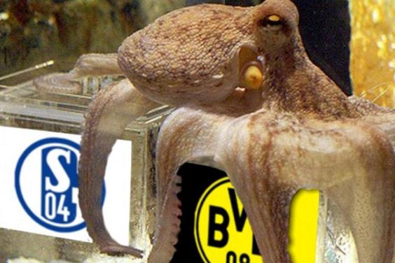 Wann kehrt der BVB endlich zurück zur Top 5 332026