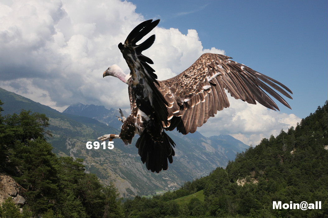 1.437.DAX Tipp-Spiel, Freitag, 03.12.10 362994