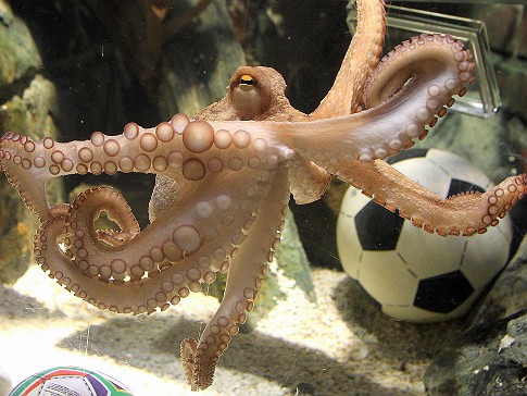 Aqua Society neuer Hype?? 426069