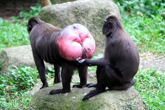 sunwin wird laufen 402763