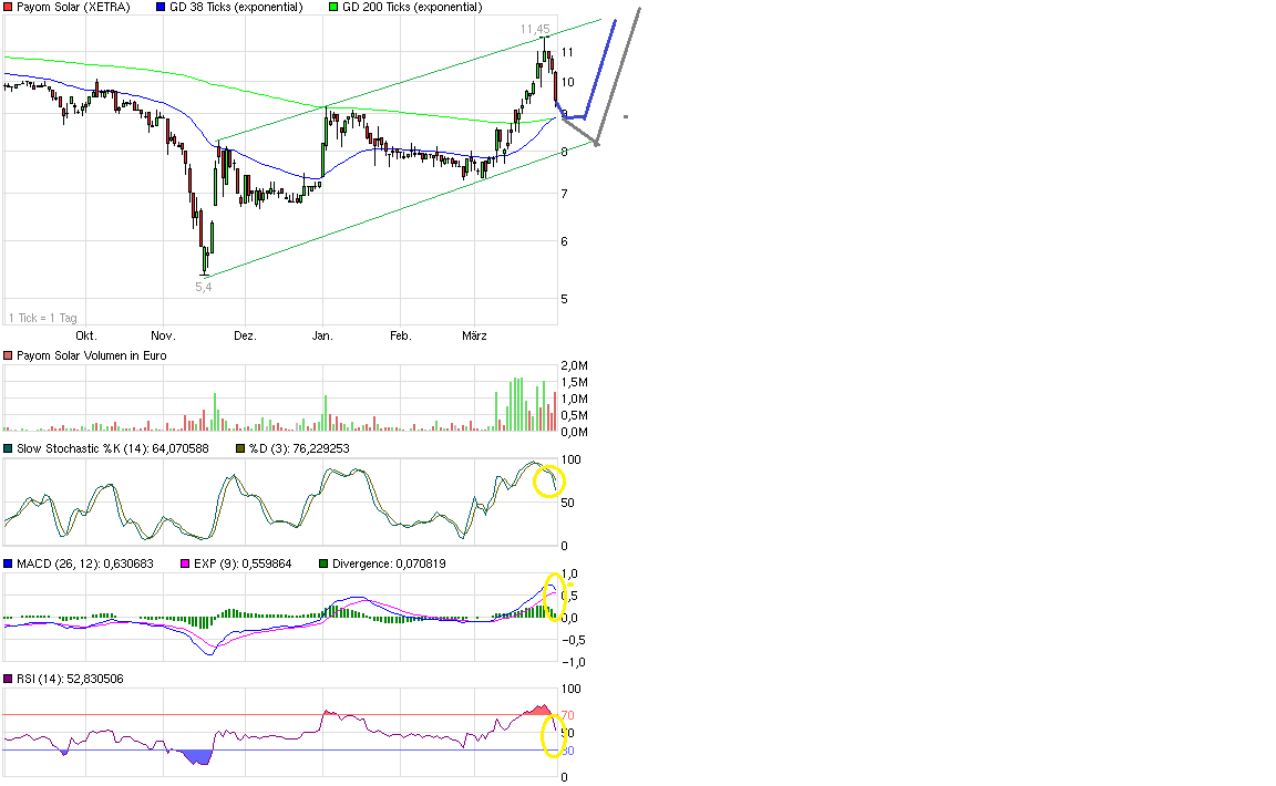 Payom Solar übertrifft Erwartungen...Kursanstieg? 392353