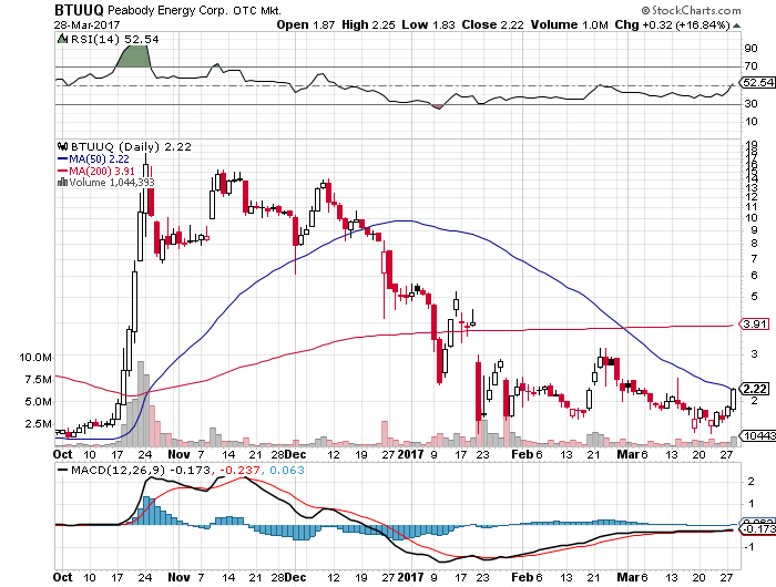 Der USA Bären-Thread 980665