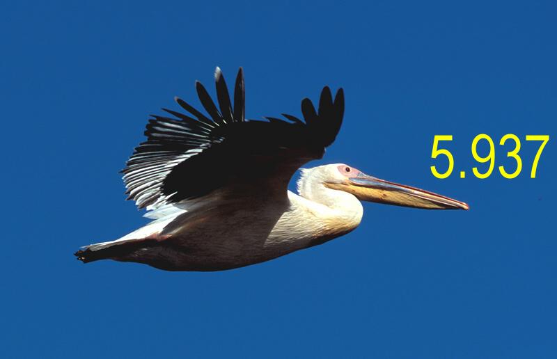 364.DAX Tipp-Spiel, Mittwoch, 13.09.06 56682