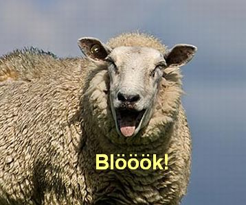 Bauer AG - Jetzt gehts wieder aufwärts bis 70 Euro 598407