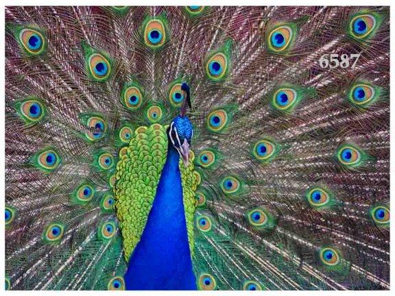 880.DAX Tipp-Spiel *Do* 25.09.08, 17.45 Uhr 188341