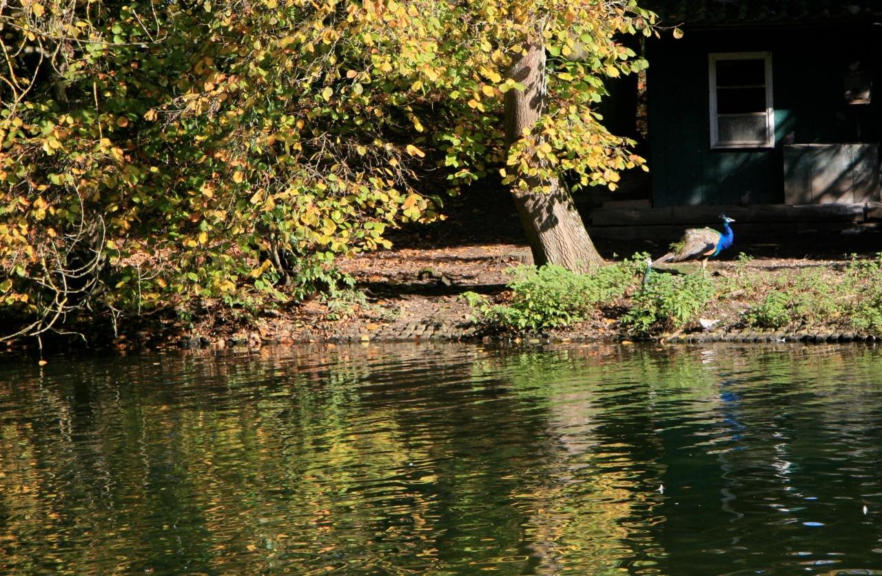 Gold traden - long bzw. short 770034