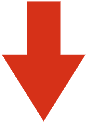 Die Bullen scharren gar nicht mit den Hufen, 188890