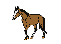 Aufs richtige pferd setzen ! 75381