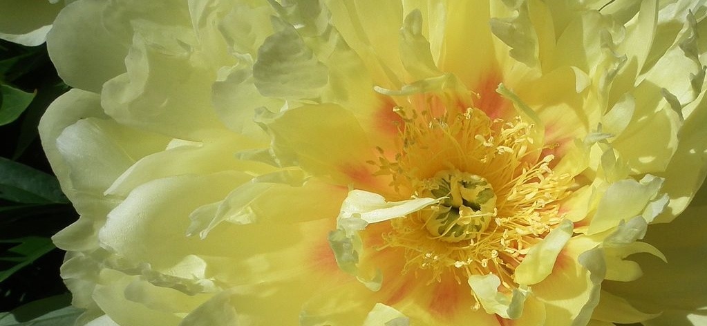 Gold traden - long bzw. short 913951