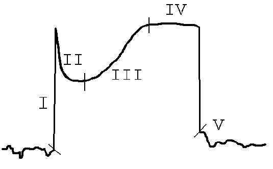 Deutsche Post 591351