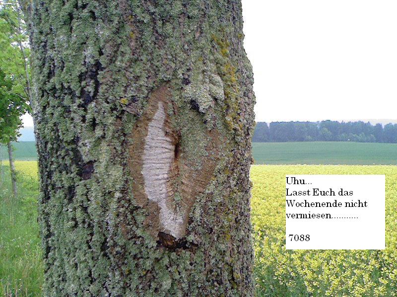 1.526.DAX Tipp-Spiel, Montag, 11.04.11, 17.45 Uhr 394221