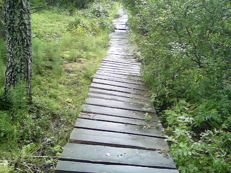 1.386.DAX Tipp-Spiel, Donnerstag, 23.09.10 346745