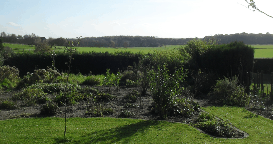 As Roma .. neues Dortmund 773538