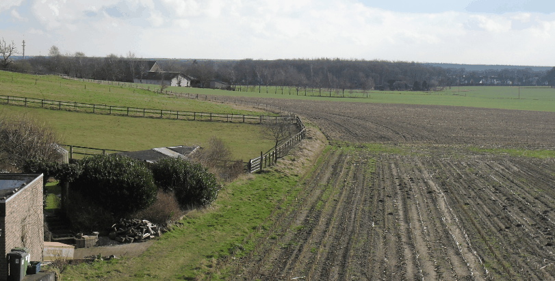 AS Roma: Nach Eklat sinkt Aktie um 10% 743573