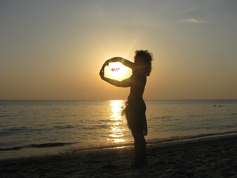 1027.DAX-Tipp-Spiel, Mittwoch 29.04.09 229728