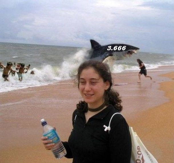 988.DAX Tipp-Spiel Dienstag,03.03.09.17.45 Uhr 219626