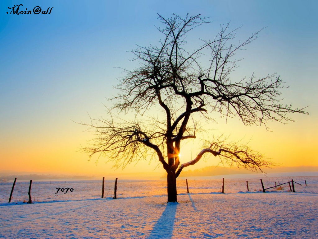 1.445.DAX Tipp-Spiel, Mittwoch, 15.12.10 365900