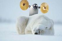 Q-Cells , der Solarzellenriese 214246