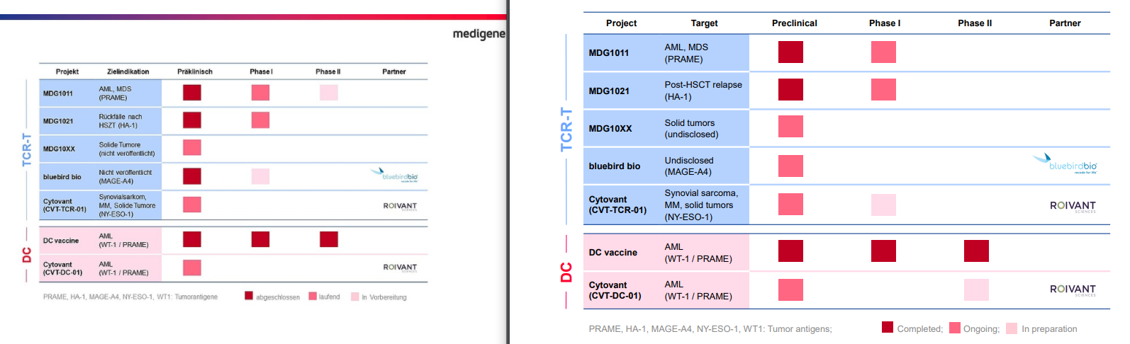 Medigene - Sachliche und fachliche Beiträge 1212942